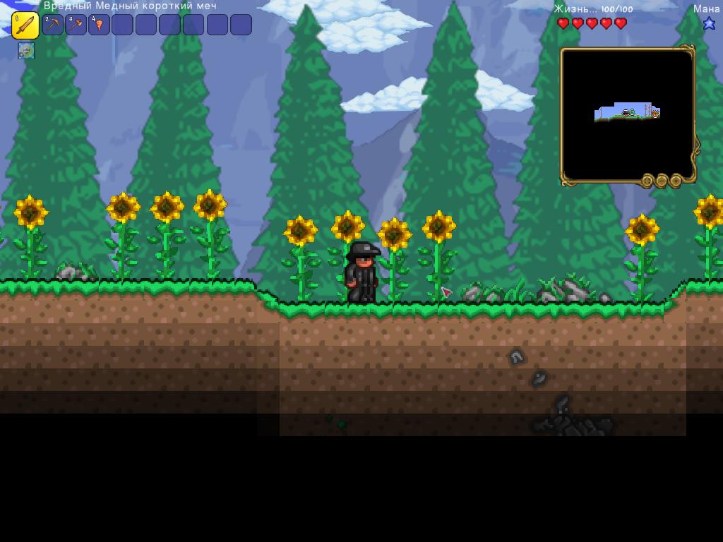 How to be Jotaro in Terraria